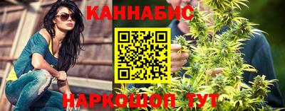 гидра Вязьма