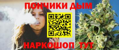 гидра Вязьма