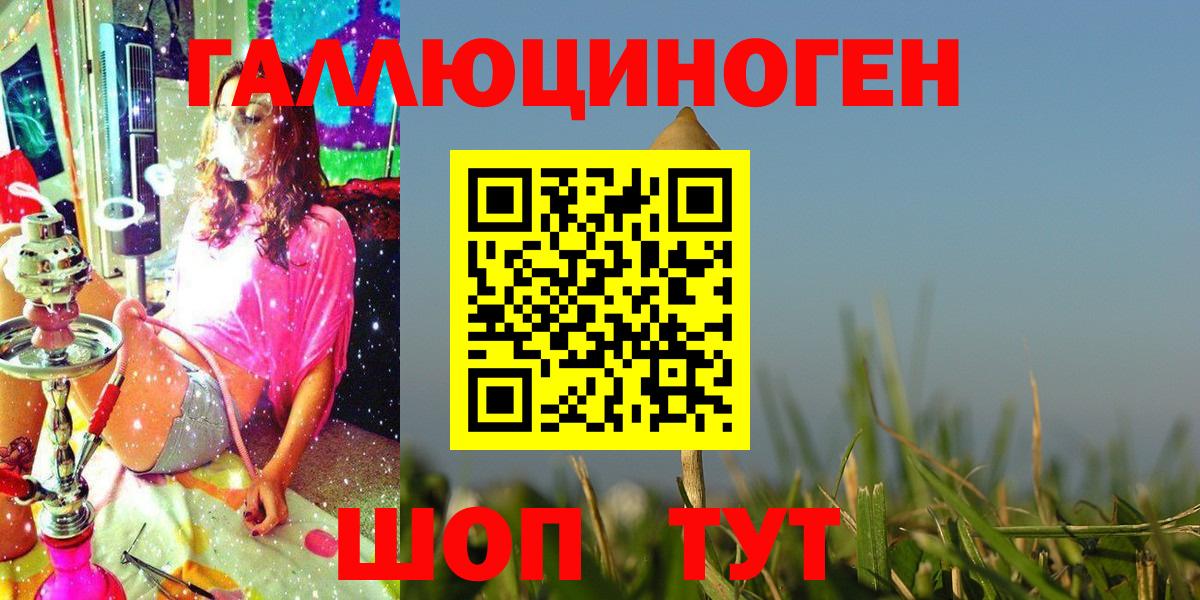наркота  Вход с VPN  Серов  Галлюциногенные грибы Psilocybe 